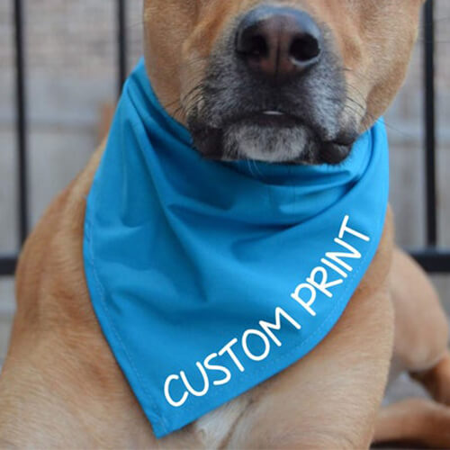 Custom dog 2024 bandanas bulk