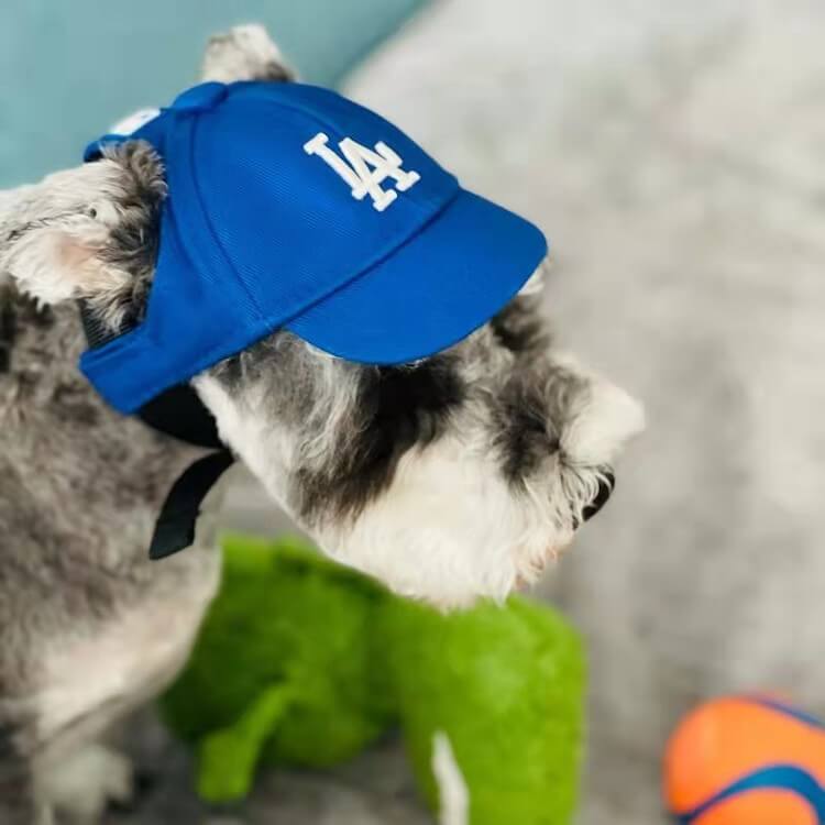 Dog baseball caps custom embroidery with logo and ear holes(wholesale)